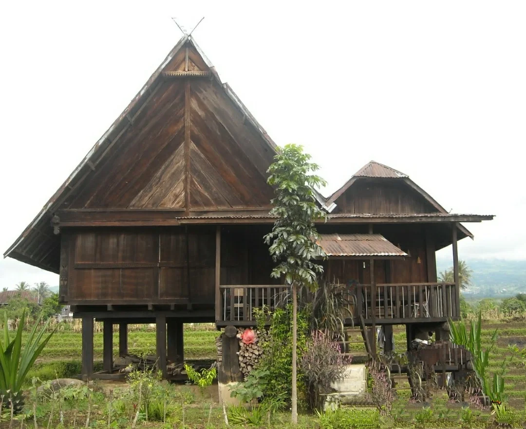 Rumah Adat Pagar Alam