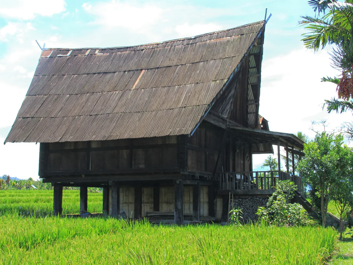 Rumah Adat Pagar Alam