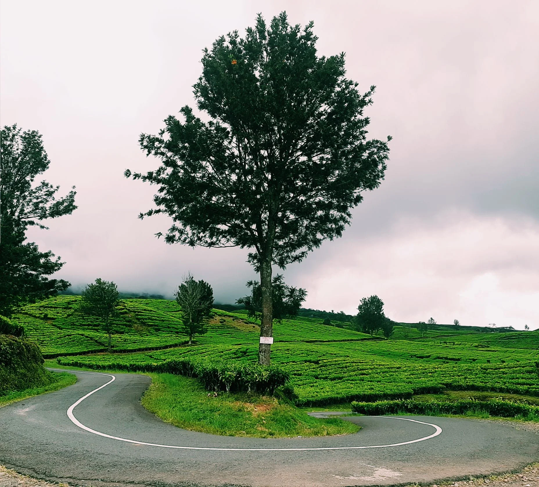 Tikungan Kekinian Gunung Dempo