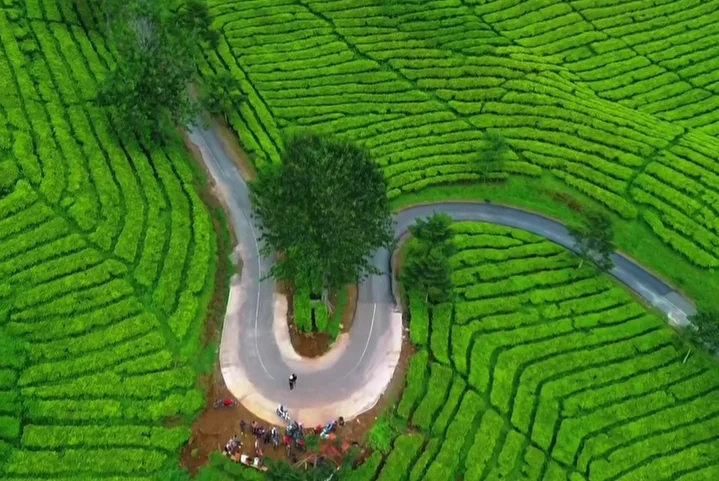 Tikungan Kekinian Gunung Dempo